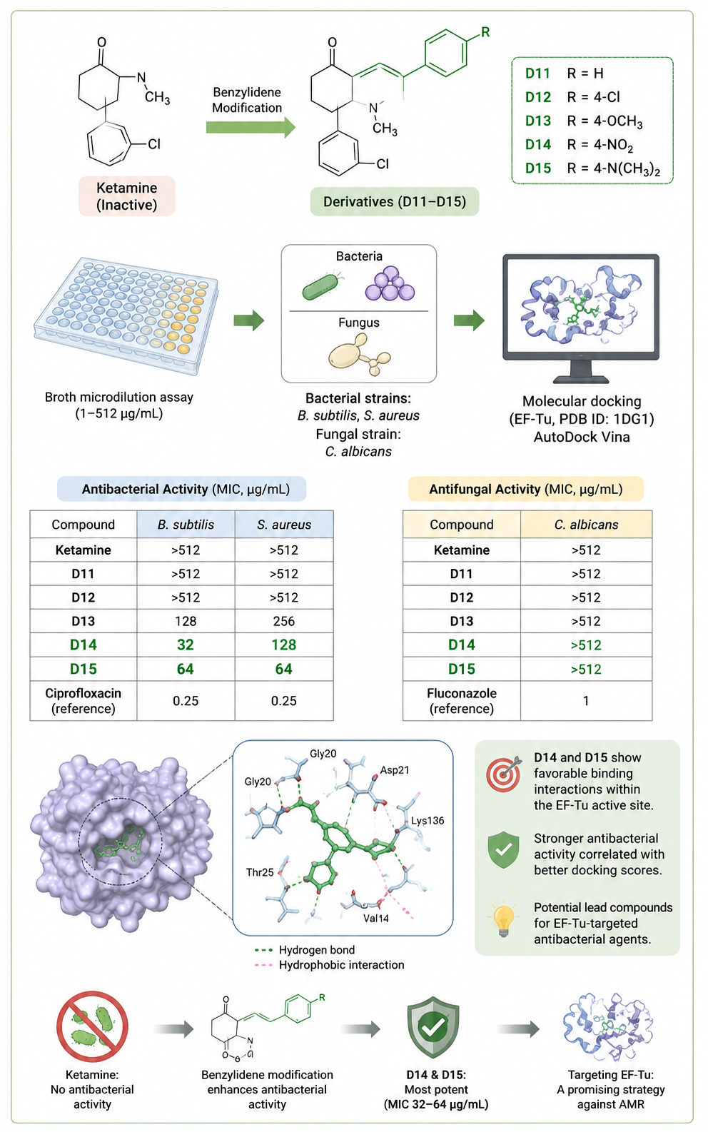 Graphical Abstract